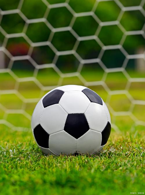 站群软件哪个的好啊